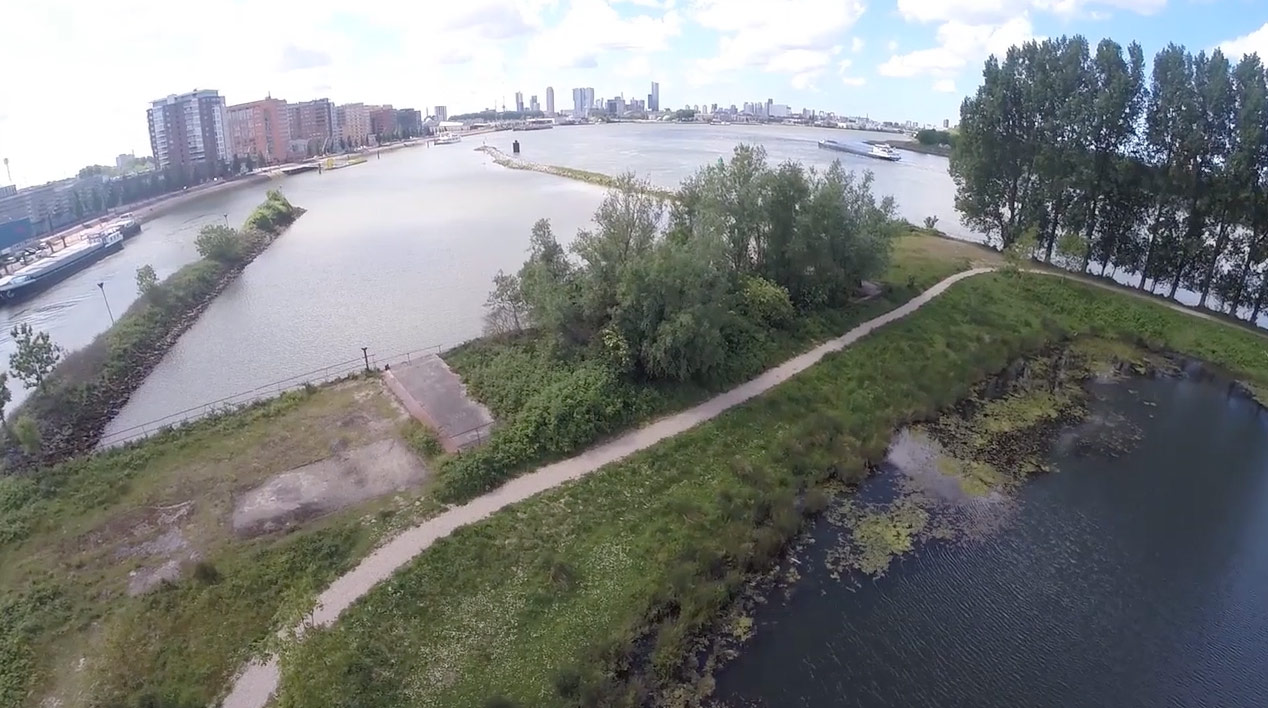 Rotterdamse rivieroevers verzachten